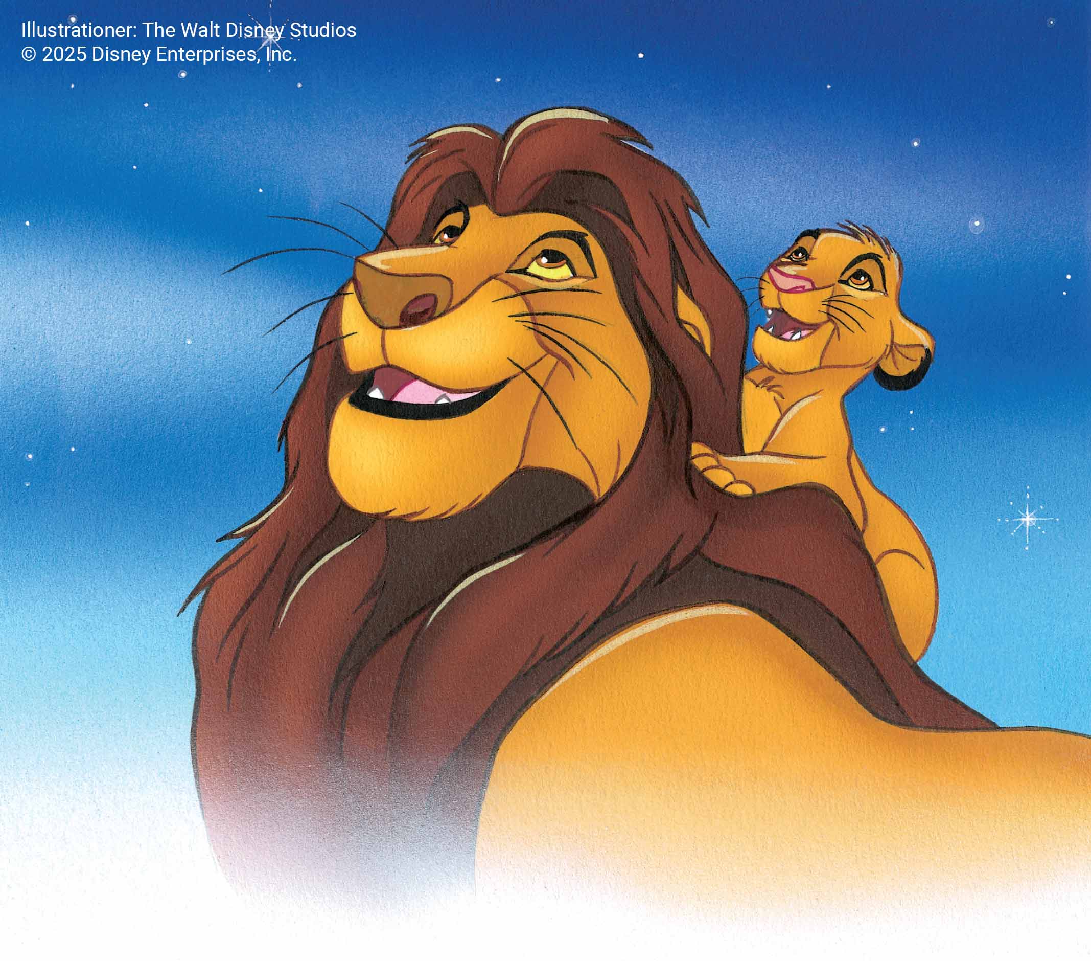 Lejonkungen bok Disney illustration Mufasa och Simba