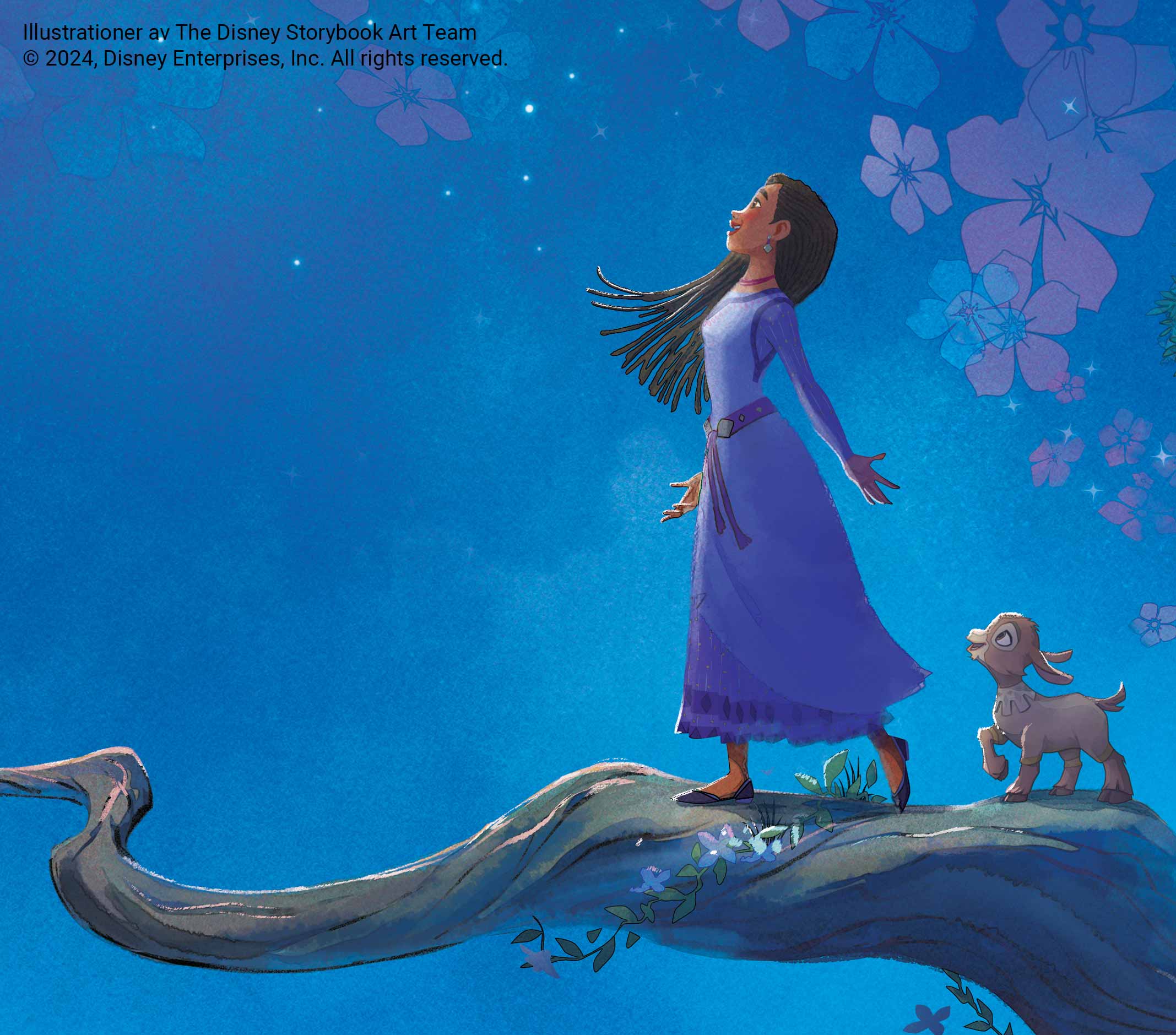 Önskan bok Disney illustration